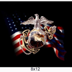 US Marine Flag Reproduction Military Metal Sign 8x12