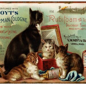 Reproduction Rubifoam For The Teeth Sign 9x12