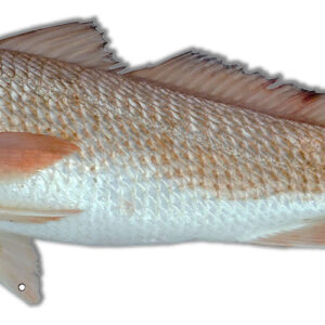 Reproduction Red Fish Laser Cut Out 7.5x23.5