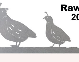 Quail Birds Laser Cut Out Raw Steel Metal Sign 8x20