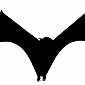 Bat Laser Cut Out Silhouette Wall Decor Metal Sign 8.1x19.2