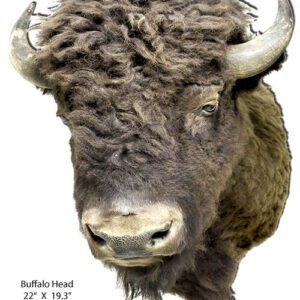 Buffalo Head Cut Out Animal Wall Art Metal Sign 19.3x24