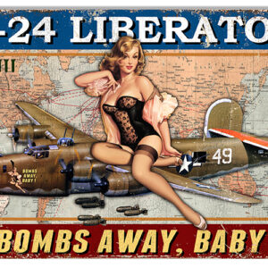 Airplane B-24 Liberator Pin Up Girl Sign By Steve McDonald 12x18