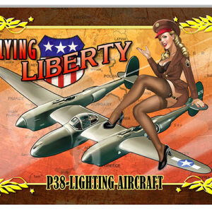 Airplane P38 Lightning Aircraft Pin Up Girl Aviation Metal Sign