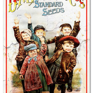 D M Ferry Co Standard Seeds Vintage Reproduction Metal Sign